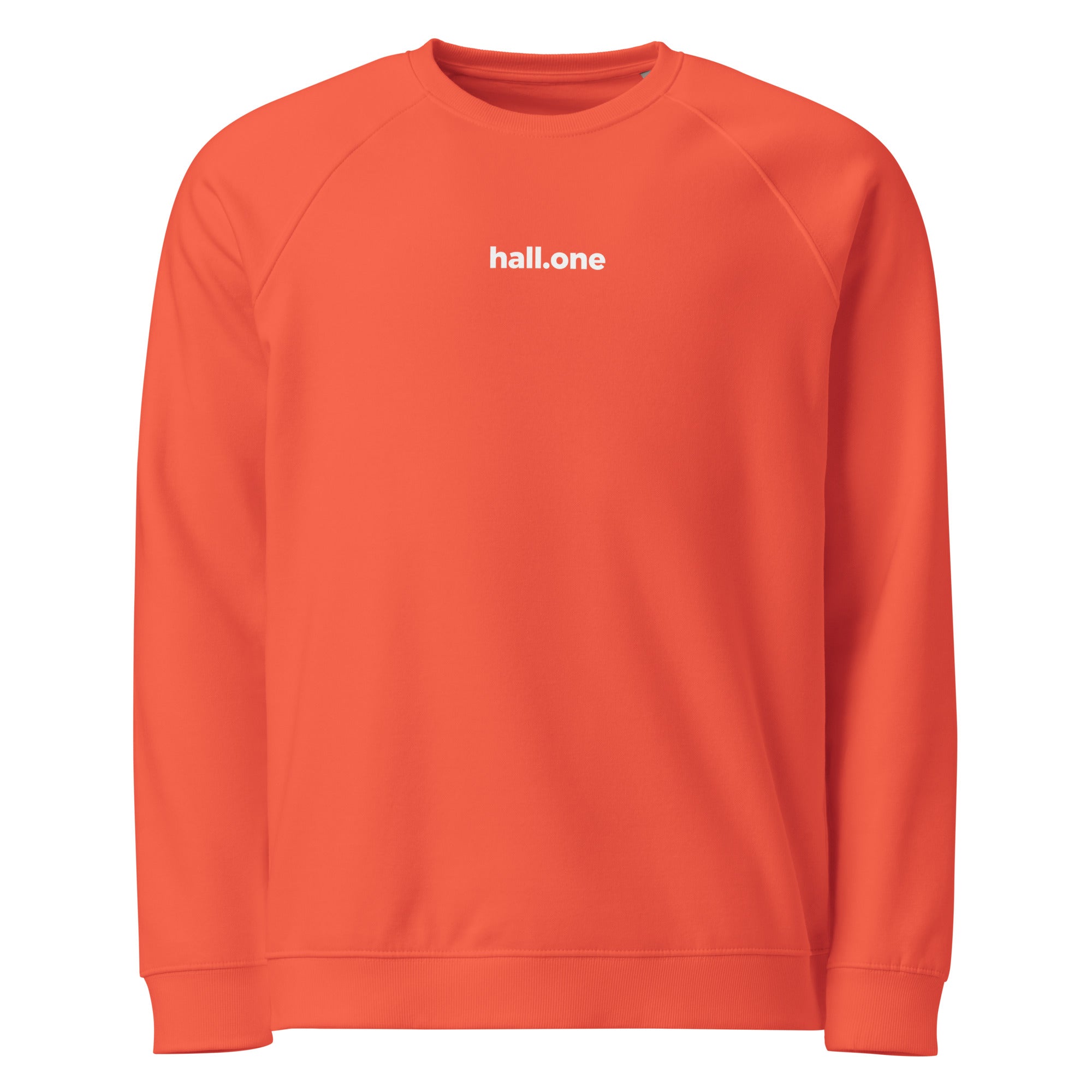 Unisex Bio-Raglan-Pullover: Bedruckbarer Pullover - Hall.one