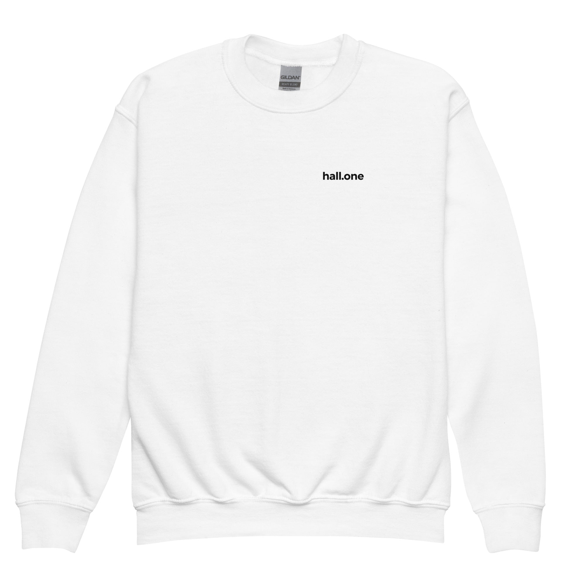 T-Shirt mit Rundhalsausschnitt für Jugendliche: T-Shirt mit Logo - Hall.one