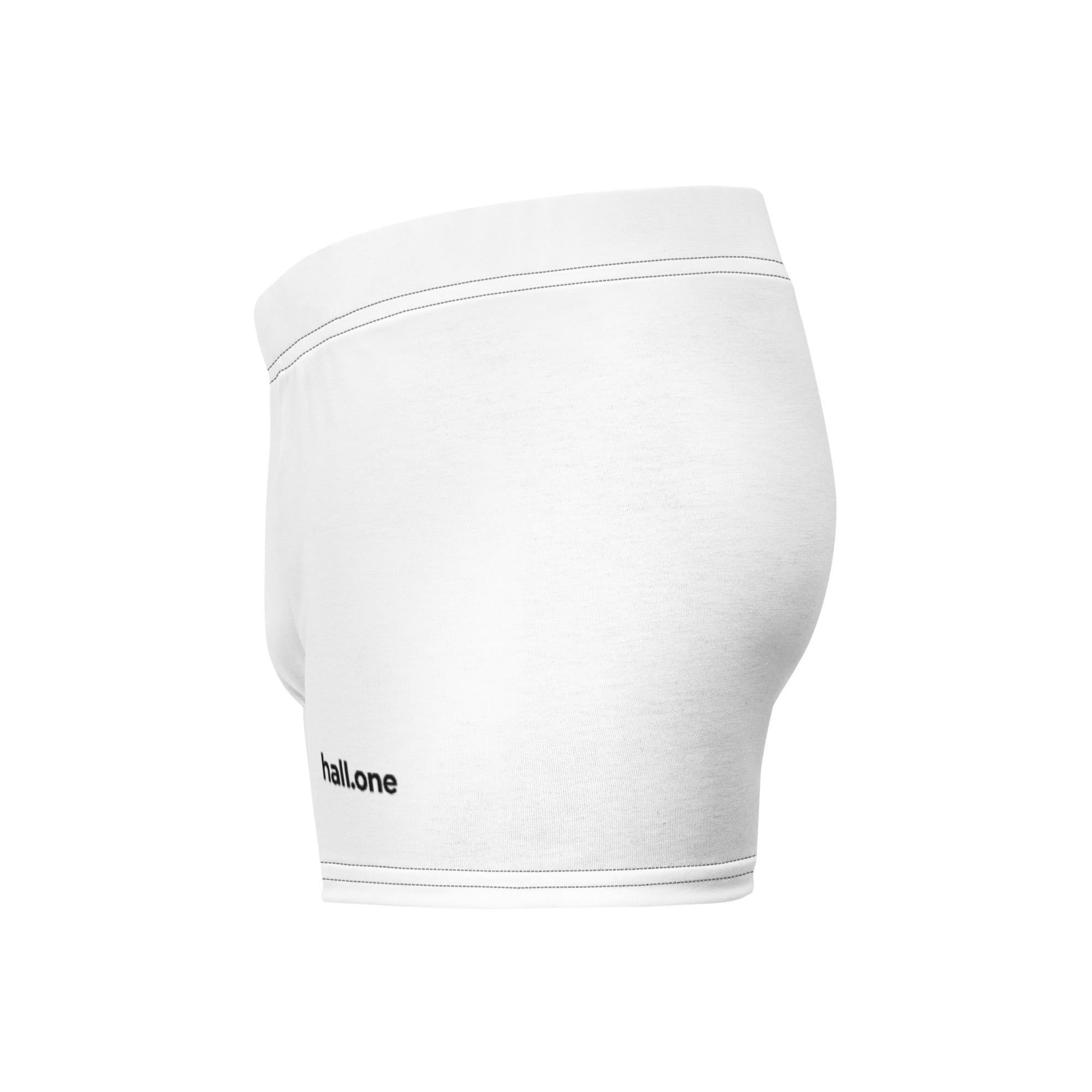 Boxer-Briefs: Boxer mit Logo - Hall.one
